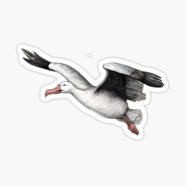 Item preview, Wandering Albatross designed and sold by ArtShare.