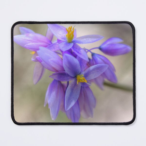 Item preview, Vanilla lily designed and sold by Michael Matthews.