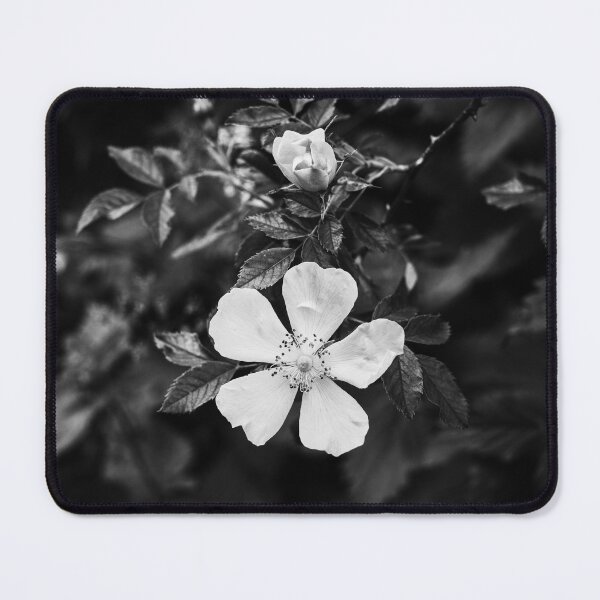 Item preview, Rosa Canina In Black And White designed and sold by Tanya C  Smith.