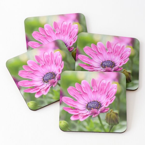 Item preview, Pink Daisy designed and sold by Tanya C  Smith.