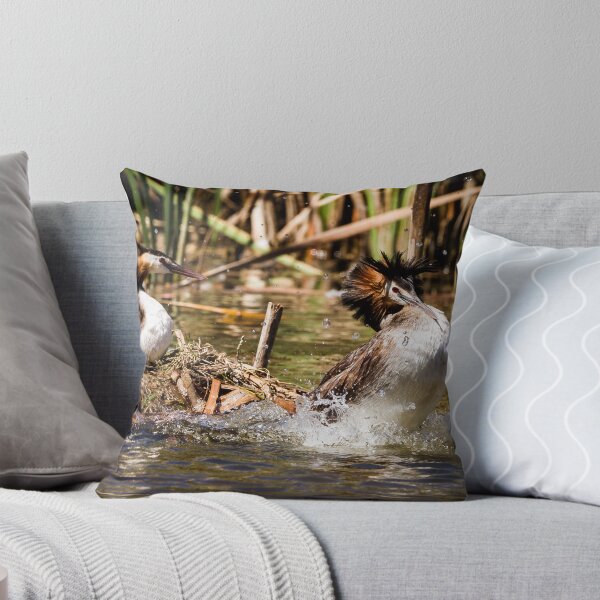 Item preview, Nesting Great Crested Grebes designed and sold by Images by Chris de Blank.