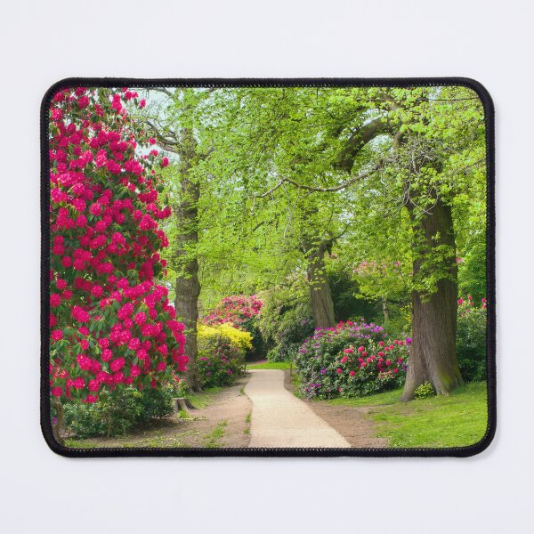 Item preview, Cannon Hall Rhododendrons  designed and sold by Alisonchambers2.