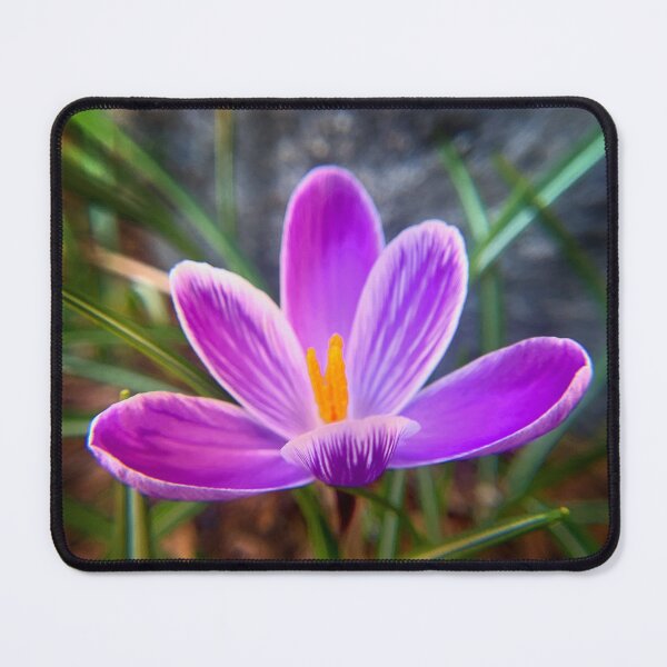 Item preview, Flower design designed and sold by CbhImages.