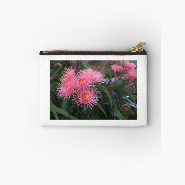 Item preview, Corymbia ficifolia designed and sold by Michael Matthews.