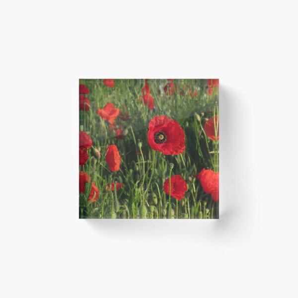 Item preview, Newbourne Poppies designed and sold by wiggyofipswich.