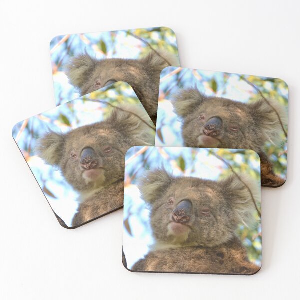 Item preview, Australian Native Koala up close designed and sold by FancifulsBySue.