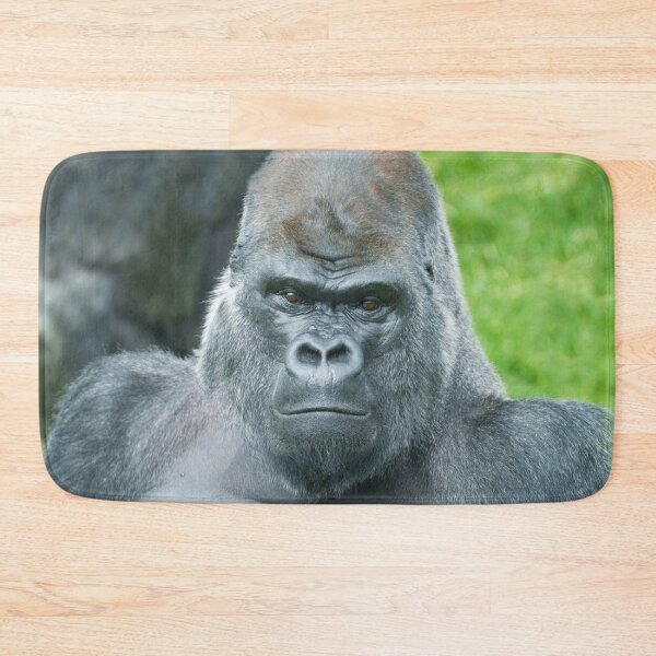 Item preview, Oumbi's Power A Silverback Portrait designed and sold by rawshutterbug.