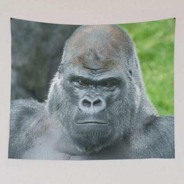 Item preview, Oumbi's Power A Silverback Portrait designed and sold by rawshutterbug.
