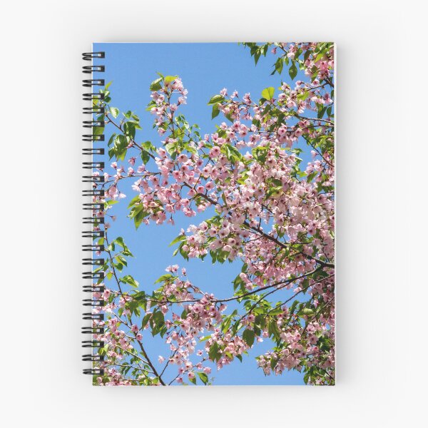 Aperçu de l'œuvre fleurs de cerisier roses créée et vendue par yunee.
