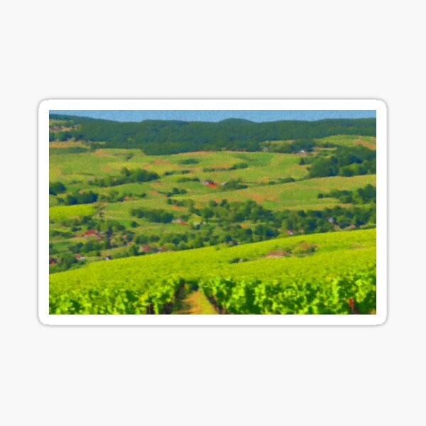 Item preview, Vineyard country... designed and sold by Harryucksche.
