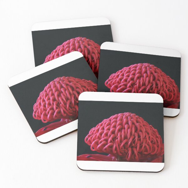 Item preview, Waratah designed and sold by Michael Matthews.