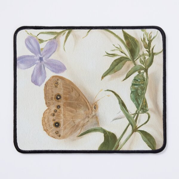 Item preview, Chinese Bush Brown butterfly and pupa on blue flower designed and sold by LigneaLuna.