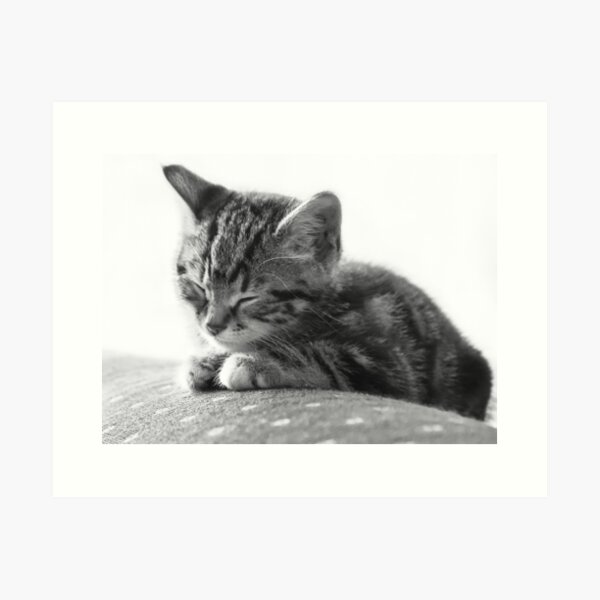 Item preview, Sleeping Kitten designed and sold by diamonddove.