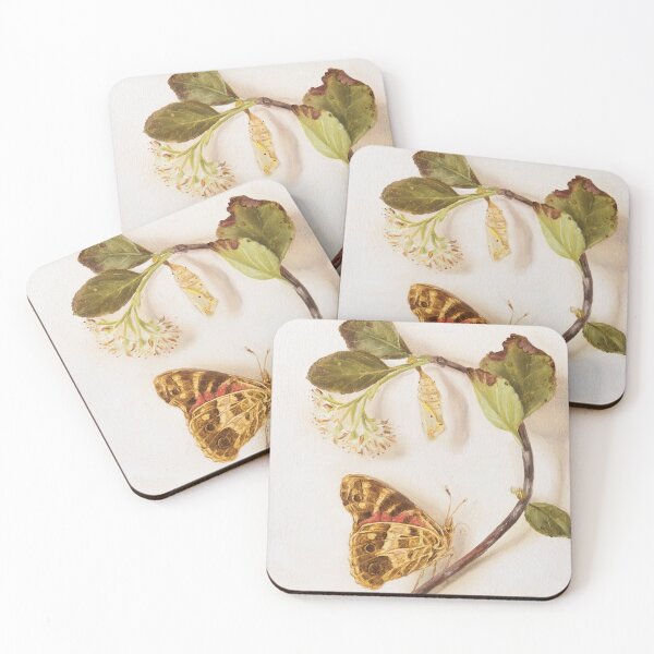 Item preview, Painted Lady butterfly and pupa on rowan flower  designed and sold by LigneaLuna.