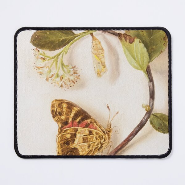 Item preview, Painted Lady butterfly and pupa on rowan flower  designed and sold by LigneaLuna.