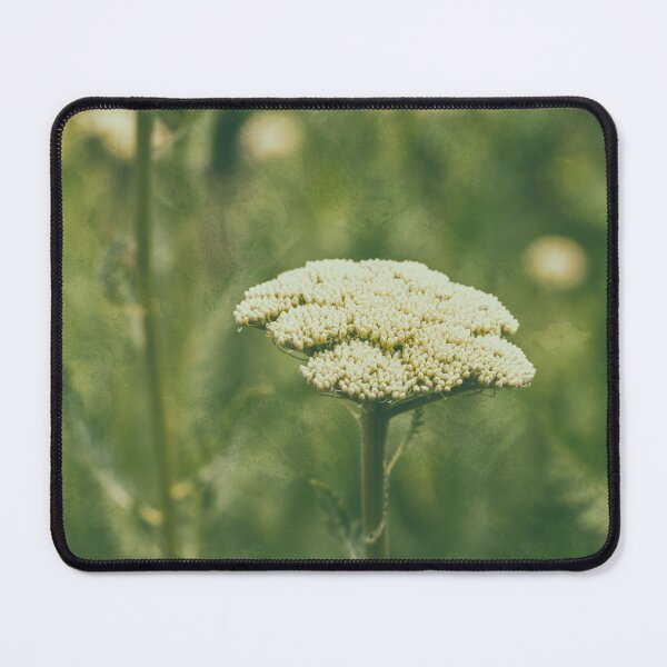 Item preview, Yarrow designed and sold by Tanya C Smith.