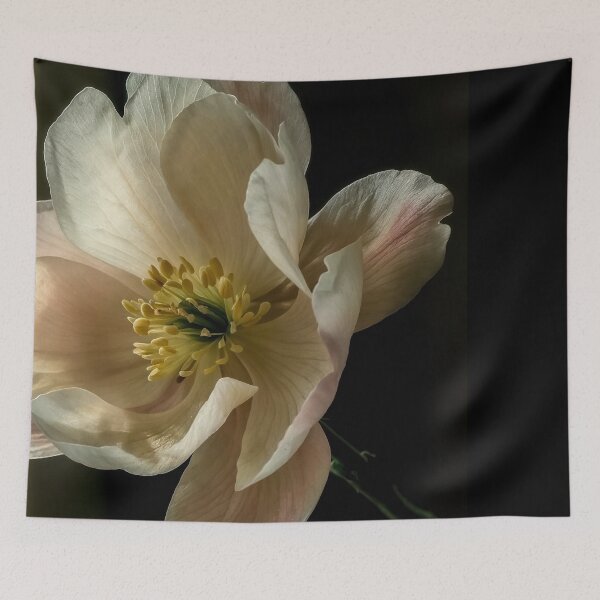 Item preview, Elegant Floral Photography of Soft Pink & White Bloom designed and sold by regnumsaturni.