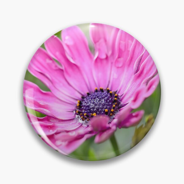 Item preview, Pink Daisy designed and sold by Tanya C  Smith.