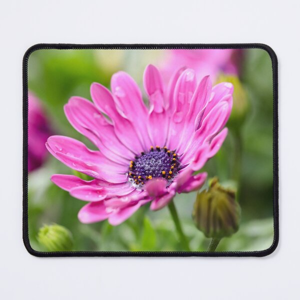 Item preview, Pink Daisy designed and sold by Tanya C  Smith.