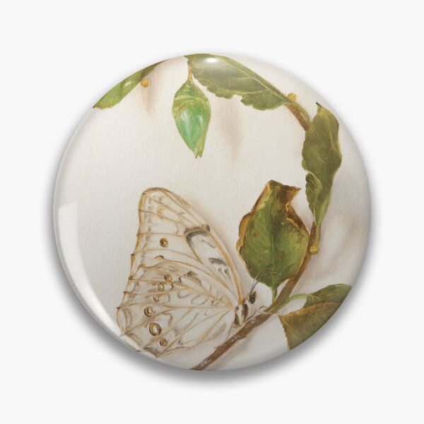 Item preview, Polyphemus White Morpho butterfly and pupa designed and sold by LigneaLuna.