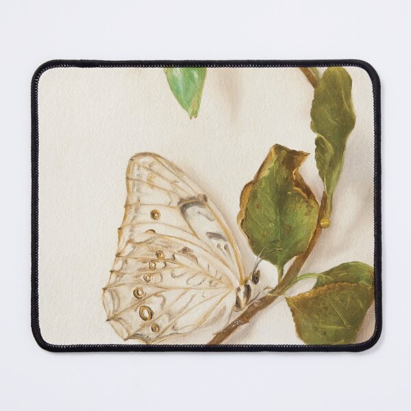 Item preview, Polyphemus White Morpho butterfly and pupa designed and sold by LigneaLuna.