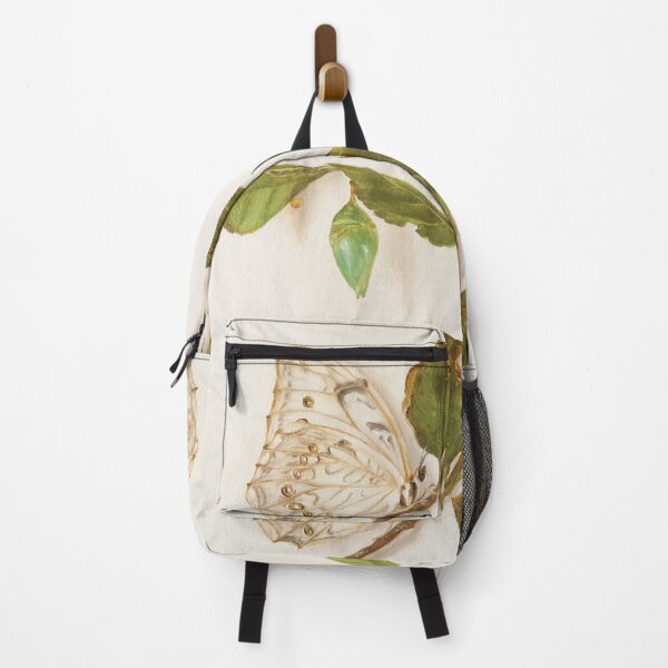 Item preview, Polyphemus White Morpho butterfly and pupa designed and sold by LigneaLuna.