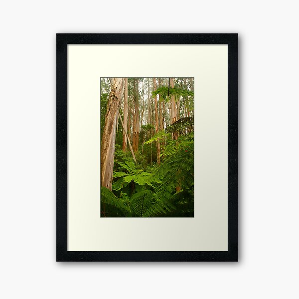 Item preview, Tarra-Bulga National Park designed and sold by Michael Matthews.