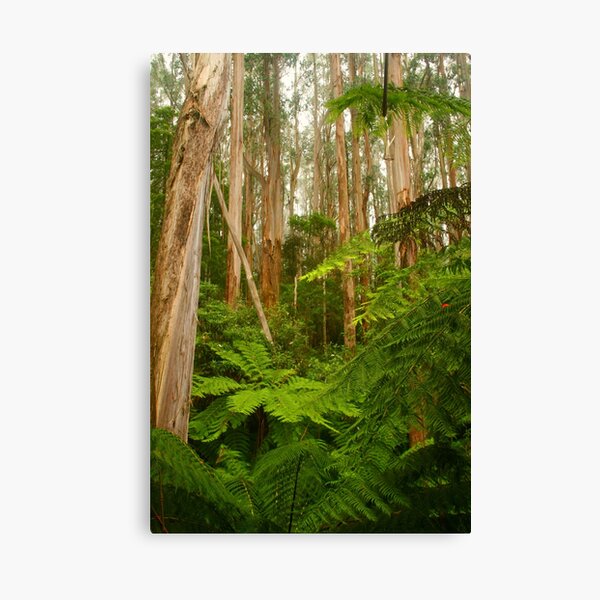 Item preview, Tarra-Bulga National Park designed and sold by Michael Matthews.