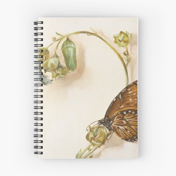 Item preview, Queen butterfly and pupa on a marshmallow flower designed and sold by LigneaLuna.