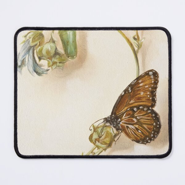 Item preview, Queen butterfly and pupa on a marshmallow flower designed and sold by LigneaLuna.