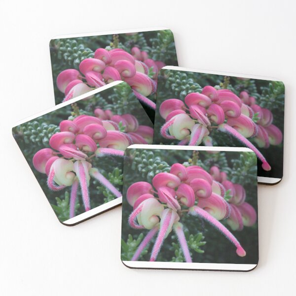 Item preview, Grevillea Lanigera designed and sold by Michael Matthews.