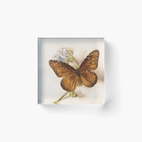 Item preview, Queen butterfly on a marshmallow plant designed and sold by LigneaLuna.