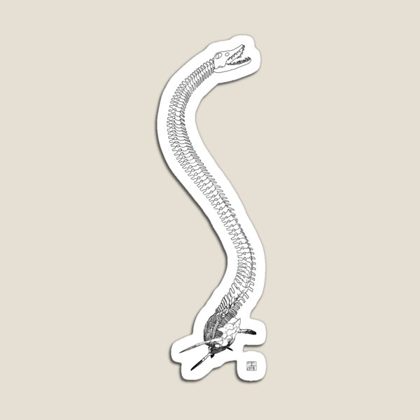 Elasmosaurus Skeleton Magnet
