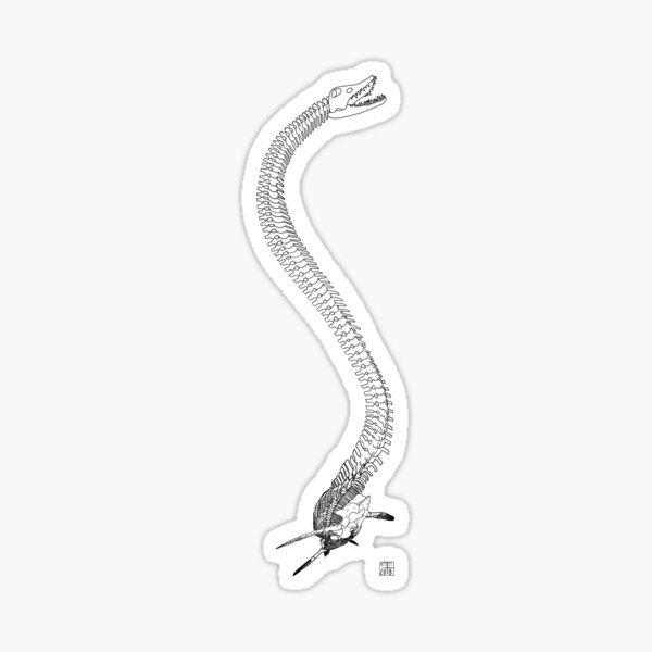 Elasmosaurus Skeleton Sticker