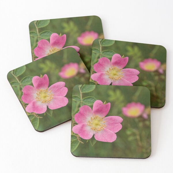 Item preview, closeup of a bright pink dog rose flower designed and sold by xophotography.