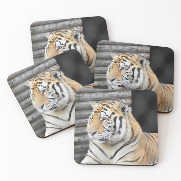 Item preview, Regal Tiger Resting by Wooden Wall designed and sold by The-RoseStudios.