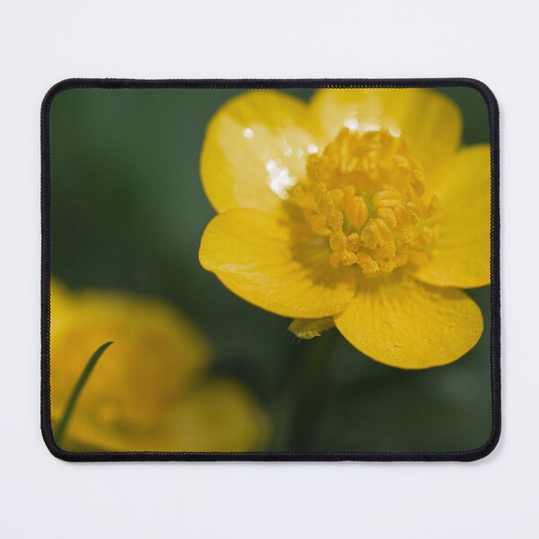 Item preview, Buttercups designed and sold by mfsphotographs.