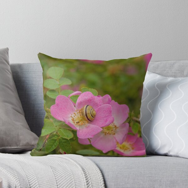 Item preview, Snail on a dog rose (rosa canina) designed and sold by xophotography.