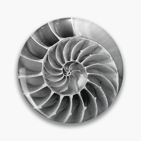 Item preview, Nautilus: Maths + Nature designed and sold by Top Quark Design.