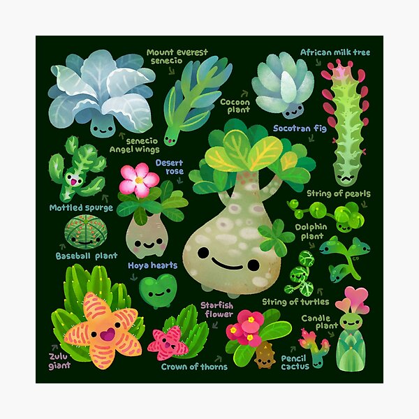 Aperçu de l'œuvre Bébé succulent 4 - foncé créée et vendue par pikaole.