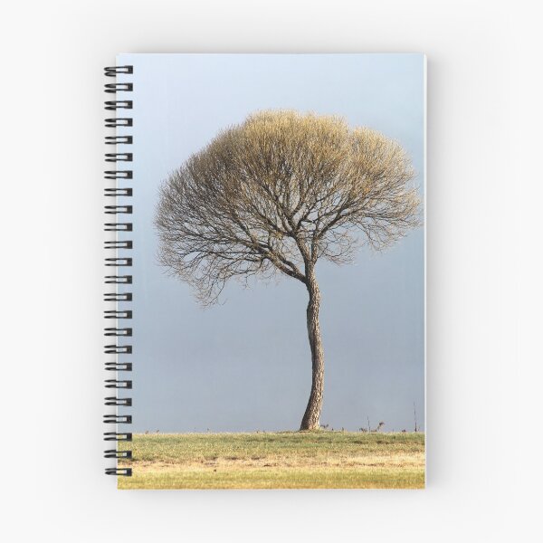 Item preview, 30.4.2018: Lonely Tree designed and sold by Petri Volanen.