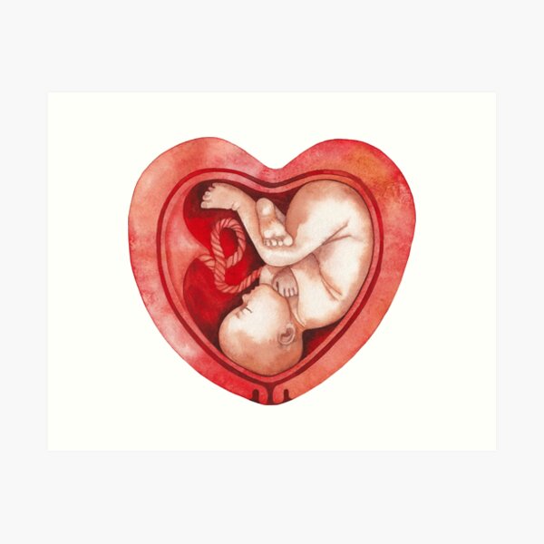 Item preview, Watercolor fetus inside the heart shaped womb designed and sold by Ekaterina Glazkova.