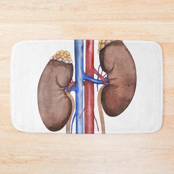 Item preview, Watercolor kidney designed and sold by Ekaterina Glazkova.