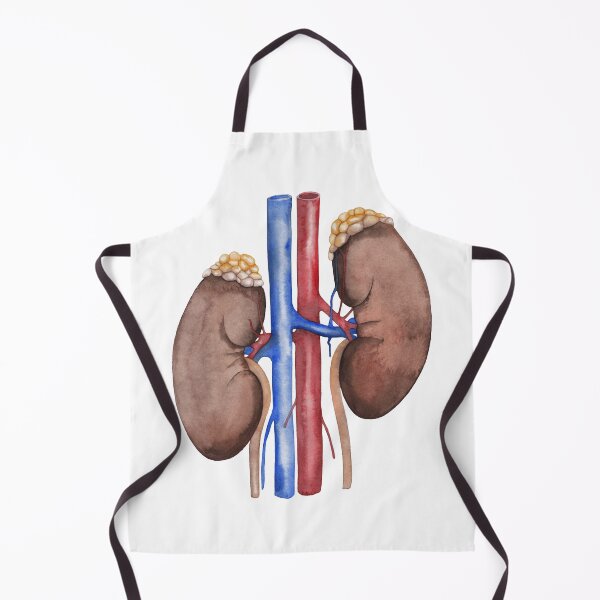 Item preview, Watercolor kidney designed and sold by Ekaterina Glazkova.