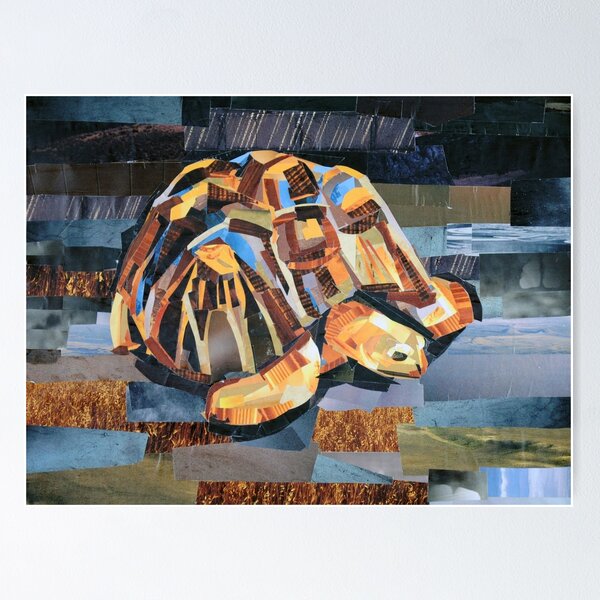 Item preview, Mr. Turtle designed and sold by megancoyle.