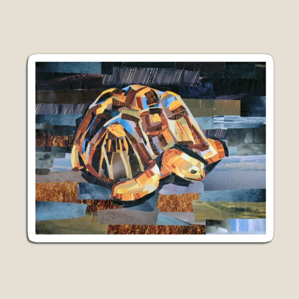 Item preview, Mr. Turtle designed and sold by megancoyle.
