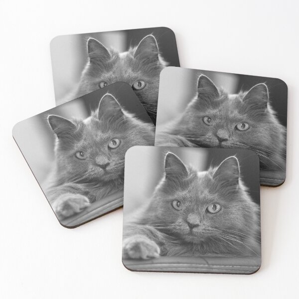 Item preview, Grey Cat designed and sold by diamonddove.