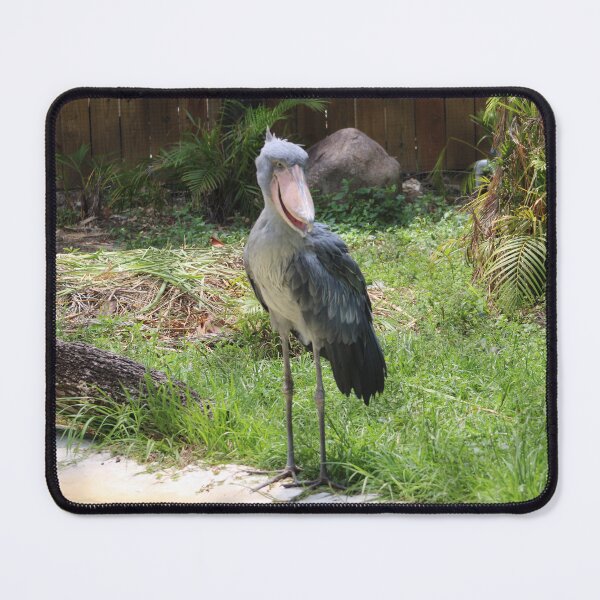 Item preview, shoebill designed and sold by littlezoo317.