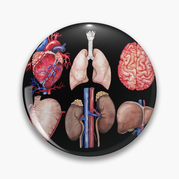 Item preview, Watercolor anatomy collection designed and sold by Ekaterina Glazkova.