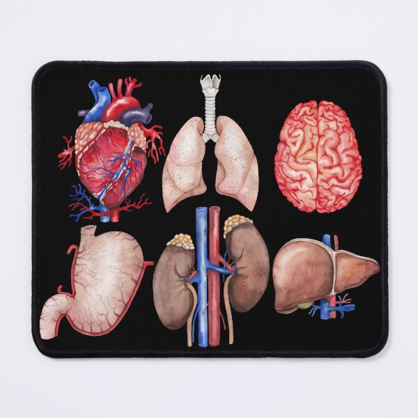 Item preview, Watercolor anatomy collection designed and sold by Ekaterina Glazkova.